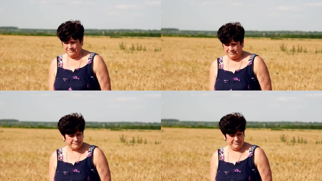 一名农村妇女站在麦田里的小麦中