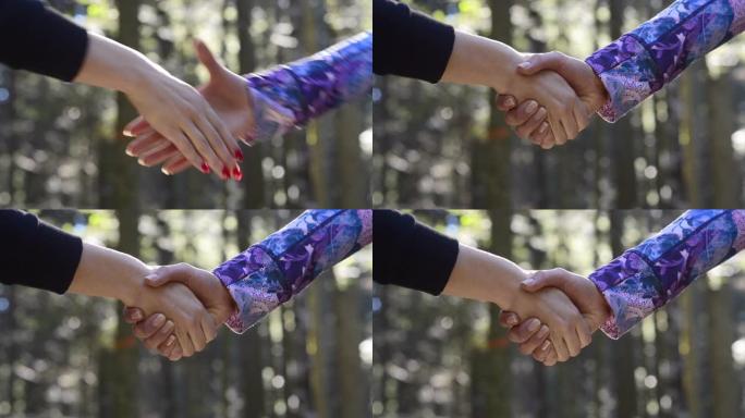 妇女在森林里握手的特写