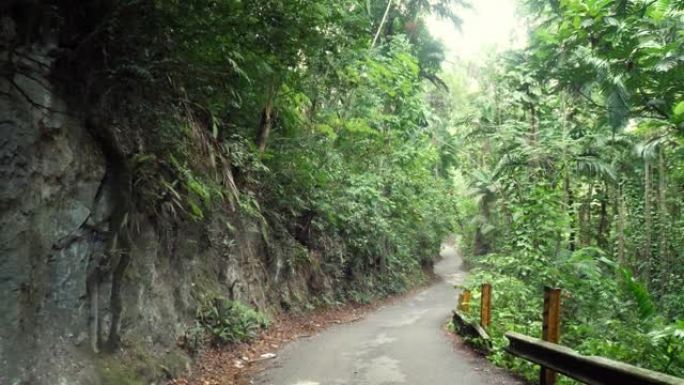 沿着奥乔里奥斯 (Ocho Rios) 的弯曲铺砌道路行走，一侧是钢柱和护栏，另一侧是岩石悬崖，牙买