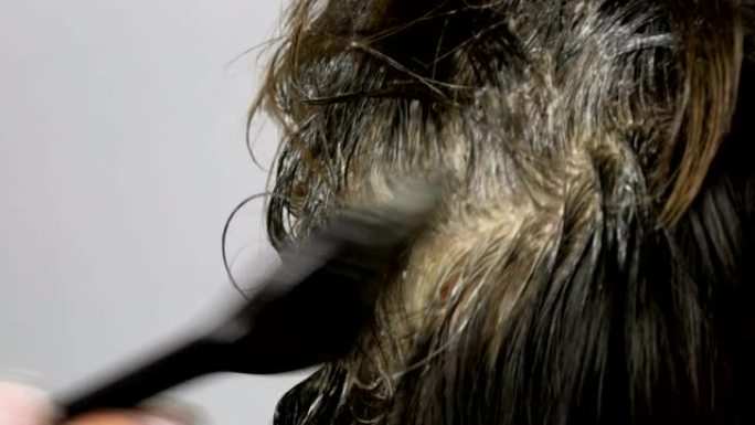 一名中年妇女长满了灰色的根，她用特殊的刷子将自己的头发涂在身上，看起来很近距离