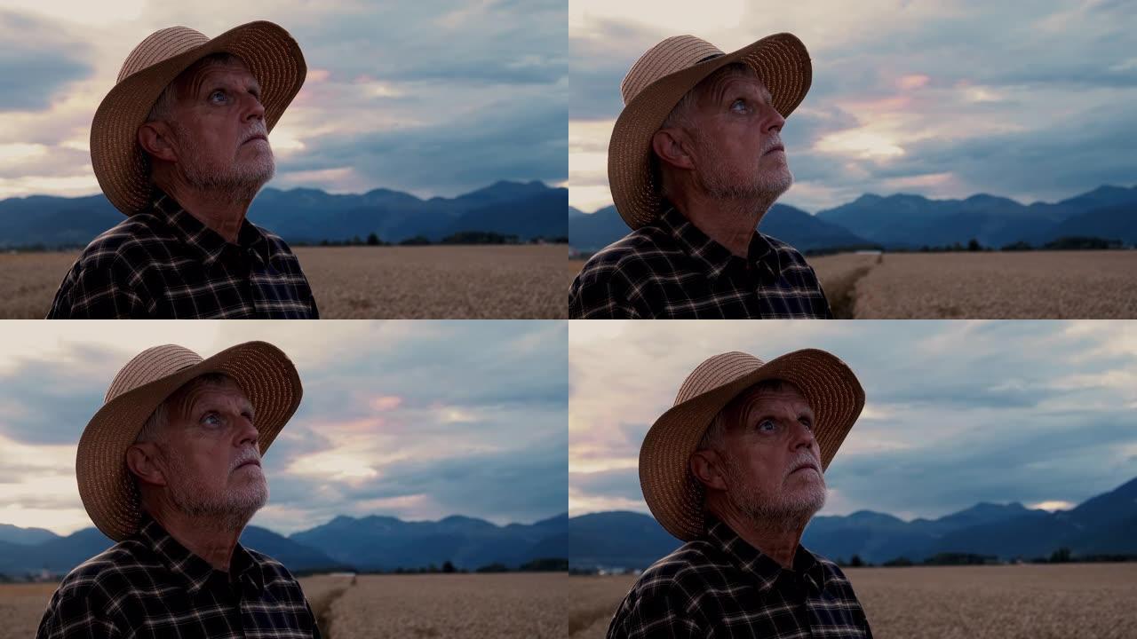 一位戴着帽子的老人站在麦田里仰望天空的特写镜头。