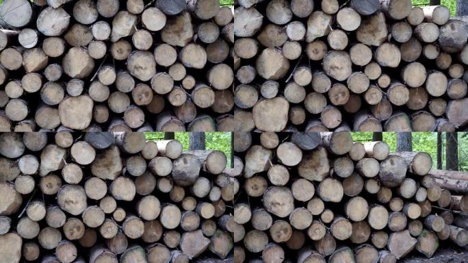 一堆木头。一堆巨大的原木的视图。