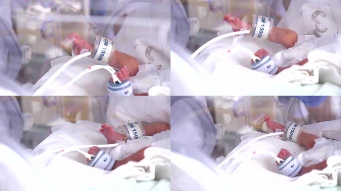 产中心。。孵化器中的重症新生儿，强化医院治疗: CCU，ICU，ITU。小小的婴儿小孩用力移动手指，