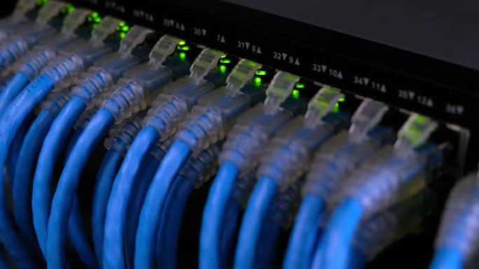 用于高速网络的网络千兆交换机和UTP Cat6网络电缆。闪光灯。