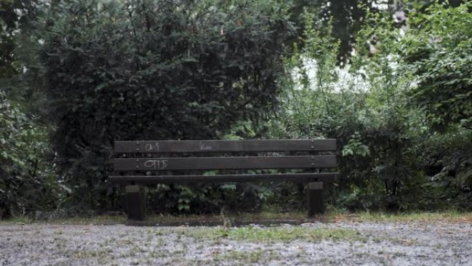 夏季多雨的木制公园长凳