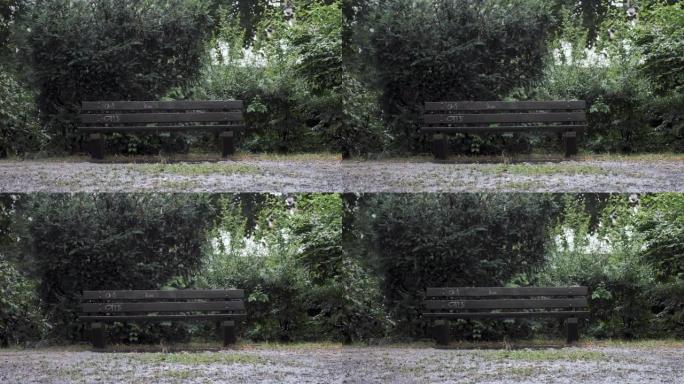 夏季多雨的木制公园长凳