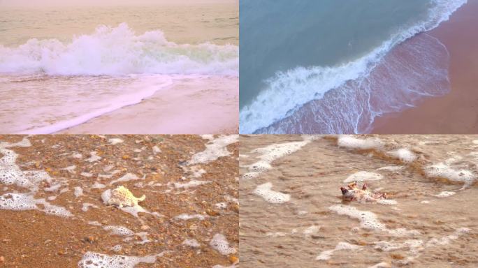 海浪海滩贝壳