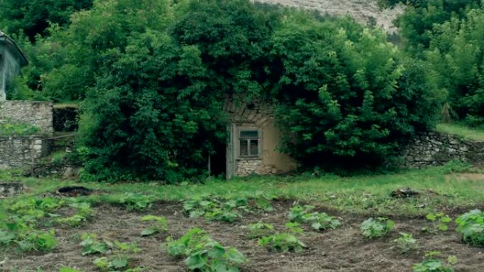 小废弃仙女屋小屋