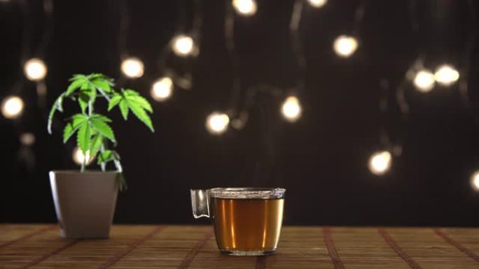陶器中带有大麻植物的竹桌。手将热的CBD茶倒入玻璃杯中。