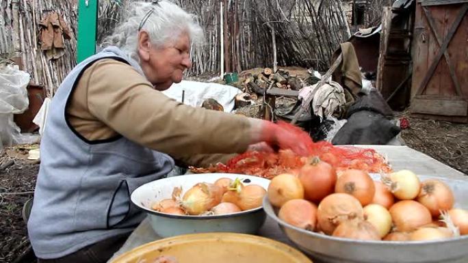 一位白发苍苍的老妇人在厨房做饭之前先捡起洋葱，有机蔬菜，她自己的农作物，选择性的焦点