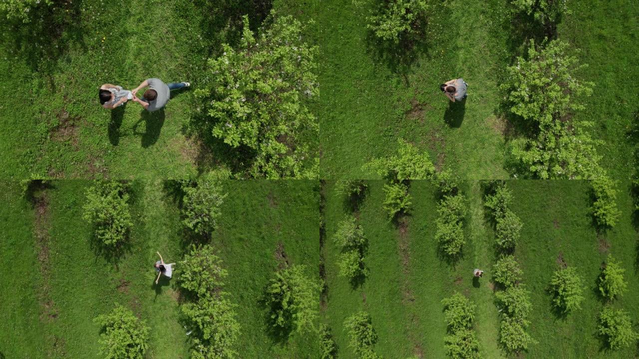 苹果园求婚的无人机镜头