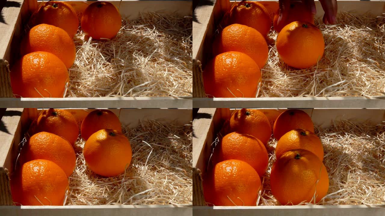 手将成熟多汁的橘子放在木箱中
