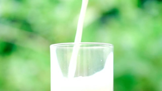 将新鲜牛奶倒入玻璃杯中，慢动作作用于模糊的绿叶背景，以促进健康，食物，饮用概念