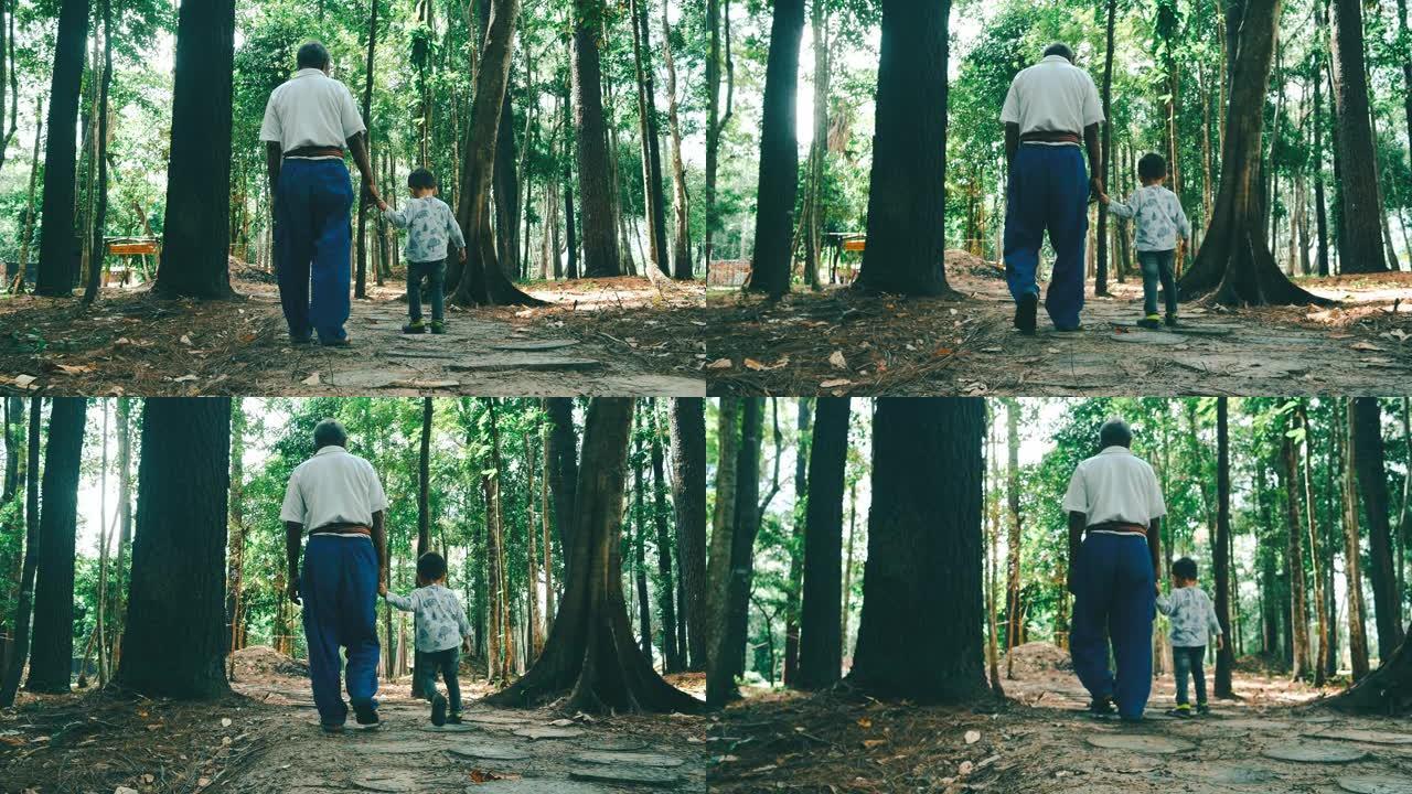 祖父和孙子在森林里散步