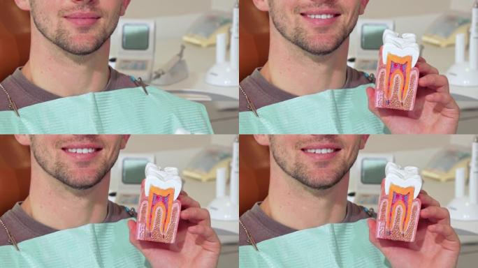 白色健康牙齿的男人微笑着，在诊所拿着牙齿模具