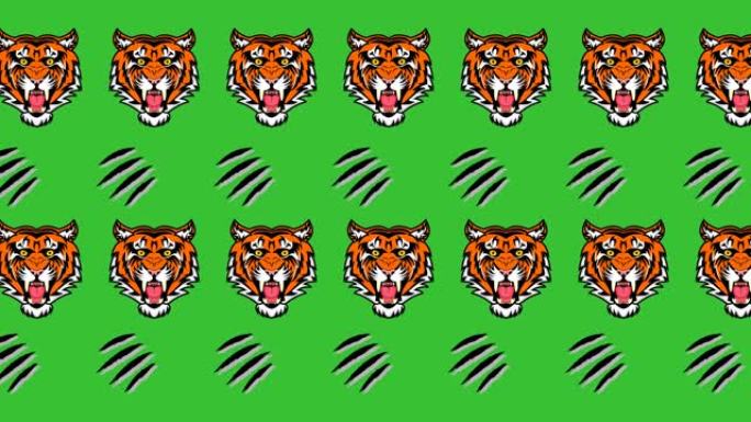 老虎和锋利爪子的动画-动画