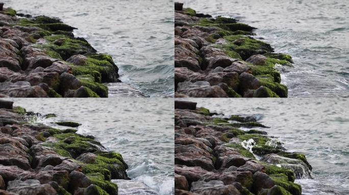石头上的苔藓，大海，波浪