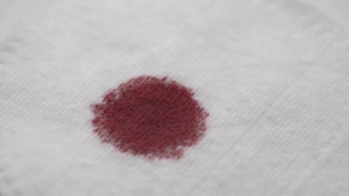 滴血落在棉质海绵上的顶部照片。棉花吸收液。孤立，在白色背景上