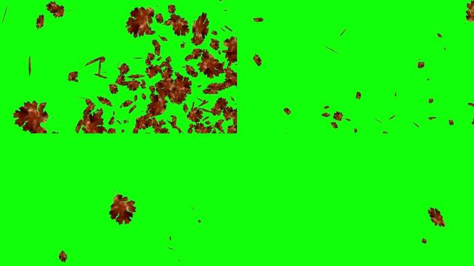 爆炸秋叶，绿屏色键可编辑背景