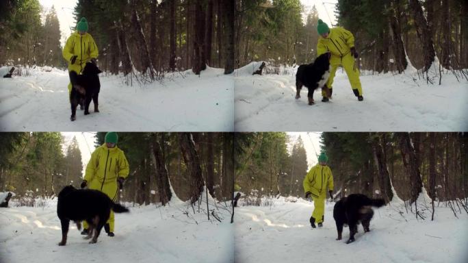 女人在冬季森林里和狗玩耍