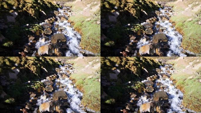 智利中部的安第斯山脉山谷位于Cajon del Maipo，这是一个令人惊叹的崎landscape景