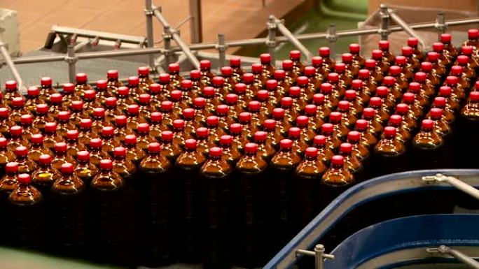 啤酒厂的输送机，用于生产kvass柠檬水和啤酒饮料