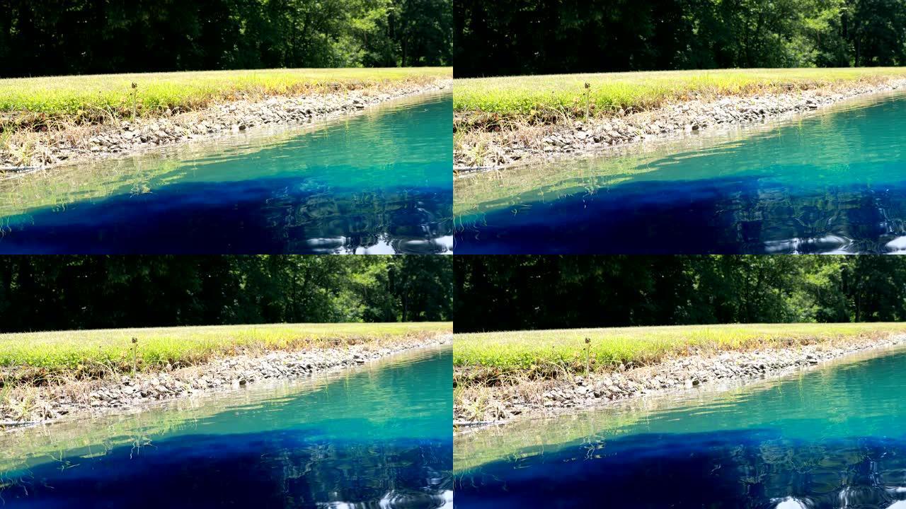 着色池塘水蓝色