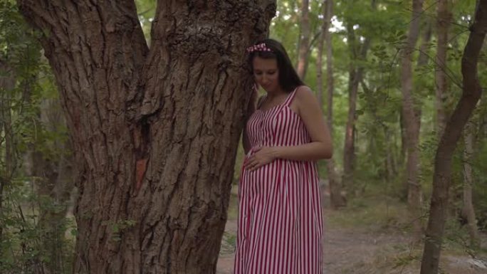 公园里的怀孕女孩在绿树的背景下。一个穿着条纹白红色连衣裙的女孩靠在树上站着。