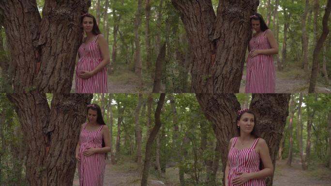 公园里的怀孕女孩在绿树的背景下。一个穿着条纹白红色连衣裙的女孩靠在树上站着。