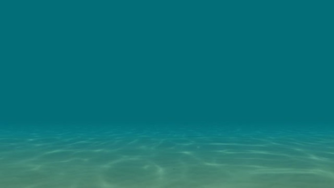 透明海洋水下4k