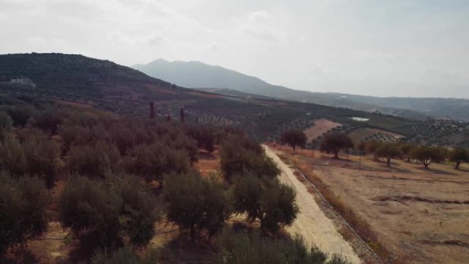 希腊克里特岛，背景山的土路和农田的风景