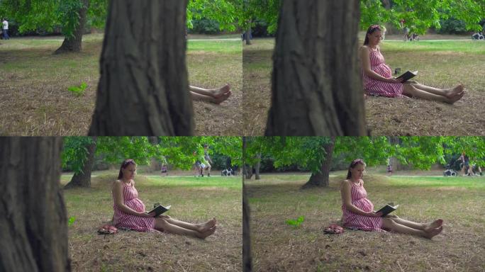 一个怀孕的女孩坐在公园的草地上。一个穿着白色条纹红色连衣裙的长发女孩正在看书。