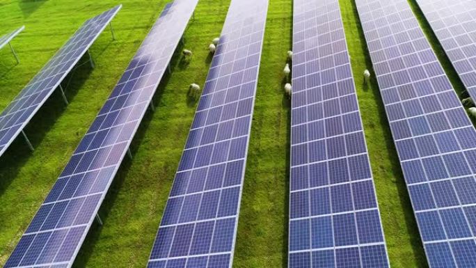 太阳能电池板在法国的阳光下与绵羊成排-鸟瞰图-环境保护，气候变化，阳光，草，光的反射，保护，电力，可