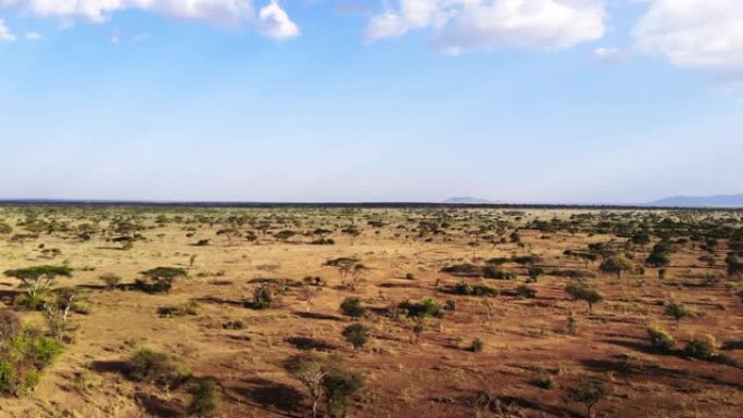 穿越非洲大草原的野生动物园之旅。传统非洲乡村部落村庄的空中拍摄。南非的旱季。国家公园的萨凡纳草原景观