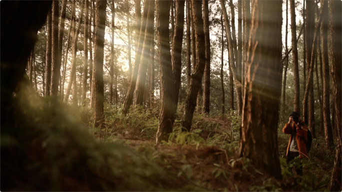 森林丁达尔光线行者徒步森林拍照摄影师采风