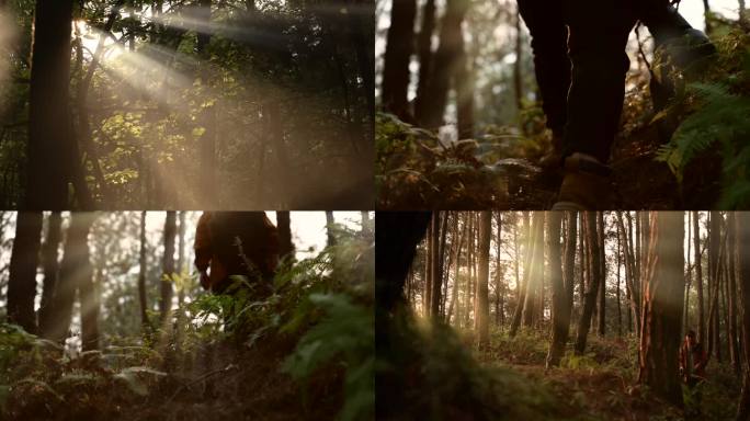 森林丁达尔光线行者徒步森林拍照摄影师采风