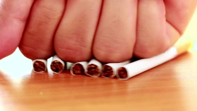 一个人的手用手将香烟分成两半。戒烟概念。