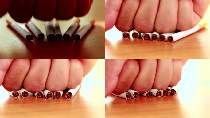一个人的手用手将香烟分成两半。戒烟概念。