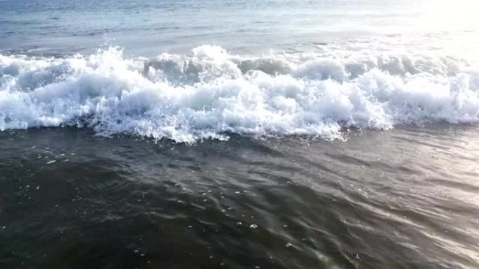 在热带海洋海滩上冲浪的蓝浪