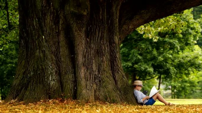 男孩坐在巨大的树下阅读书戴着草帽