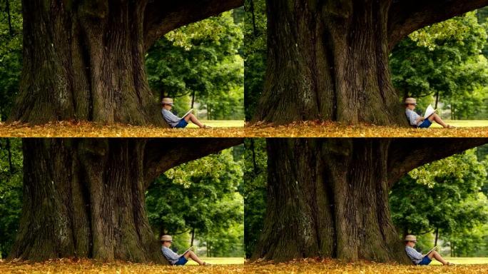 男孩坐在巨大的树下阅读书戴着草帽