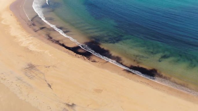 污染海滩生态危机油污海岸