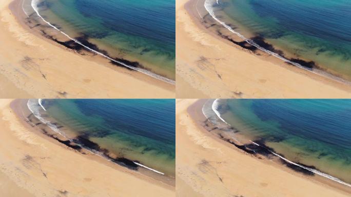 污染海滩生态危机油污海岸