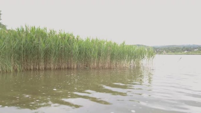 湖泊和湖岸