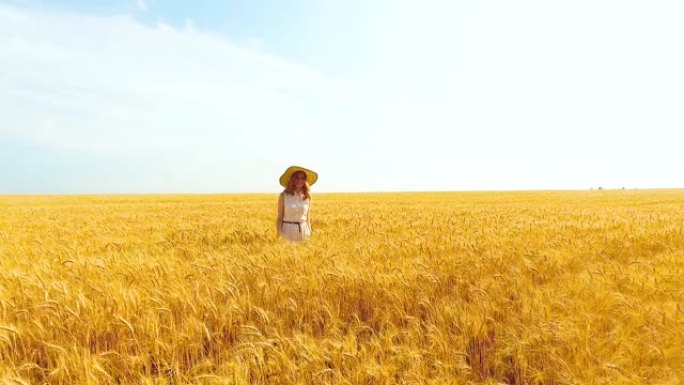 夏天，美丽的女人在麦田成熟的麦穗中行走