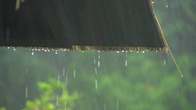 白天岛上有大雨2