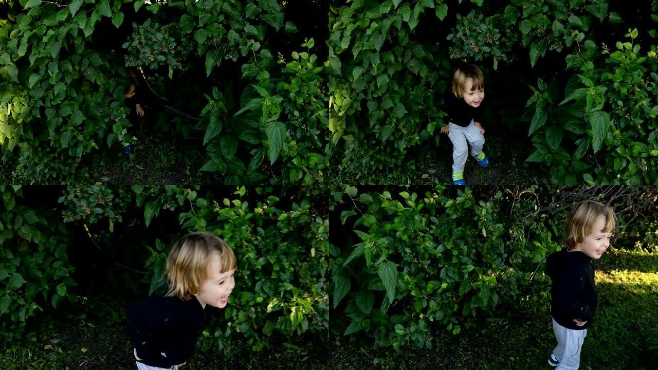 快乐的小孩在绿色的灌木丛中笑得弯下腰来