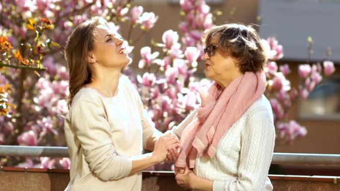 母亲节。两个美丽的女人被拍到在明亮的春天天空和一片盛开的玉兰和樱花