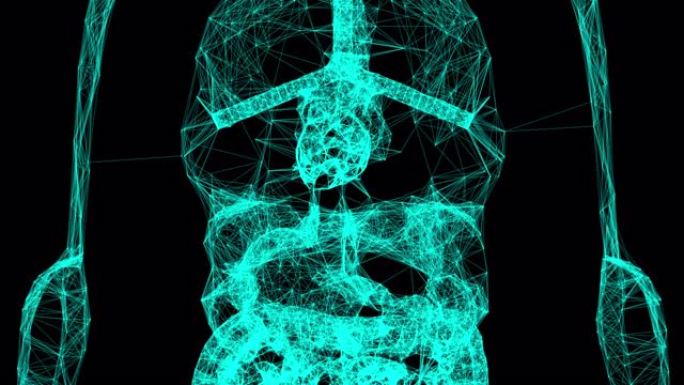 带连接点的解剖人体模型，3d渲染背景，医学概念