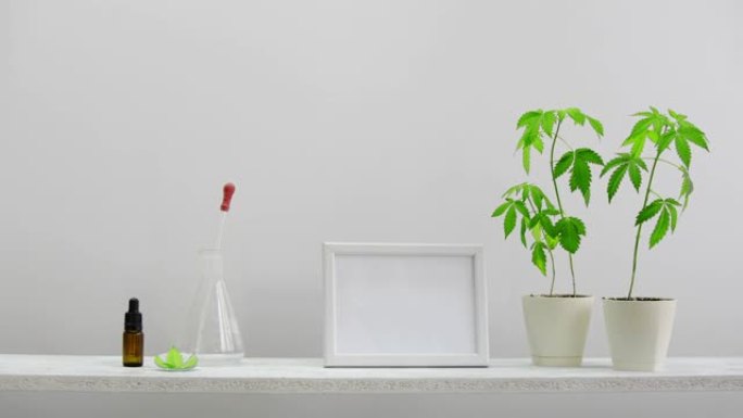 用CBD油手放下玻璃滴管瓶。